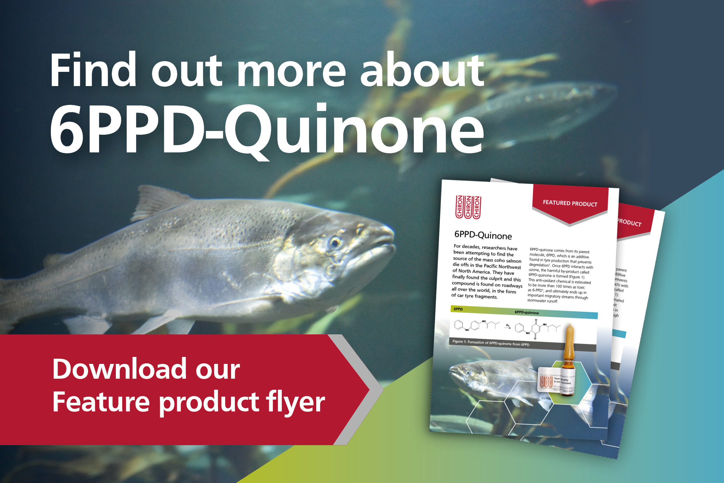 Featured Product: 6PPD-Quinone